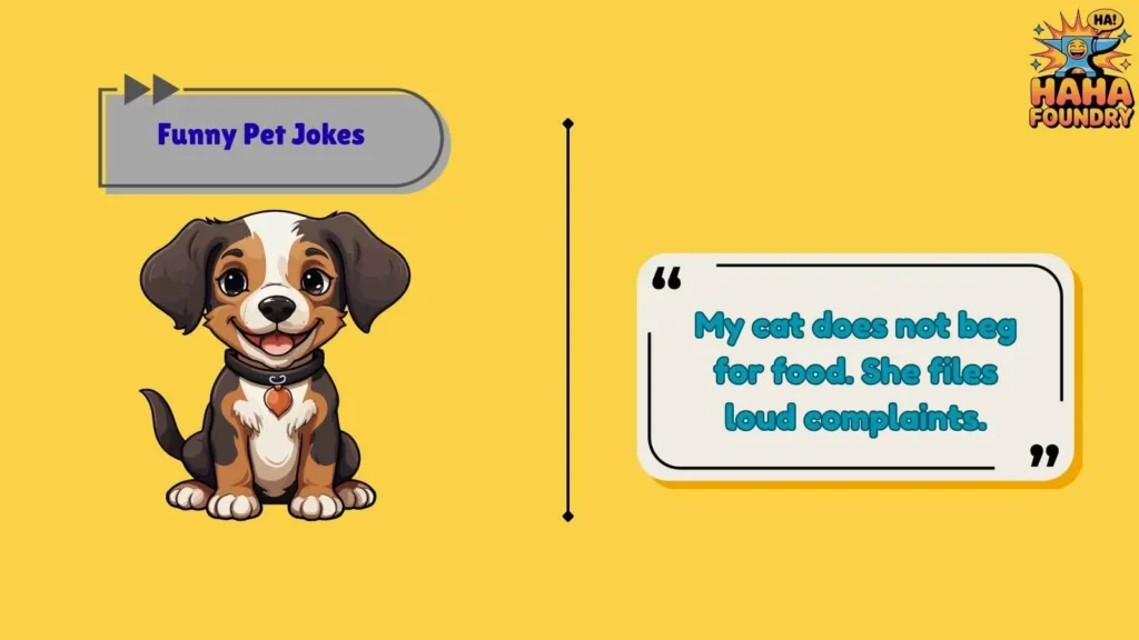 Cat Jokes for People Ruled by Tiny Furry Tyrants