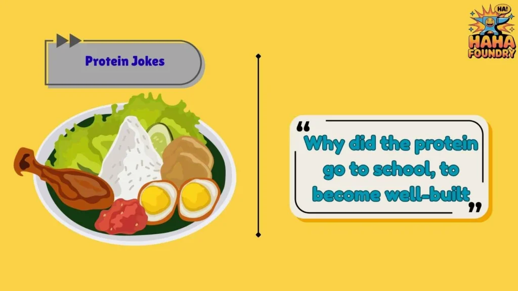 Clean Protein Jokes for Everyone