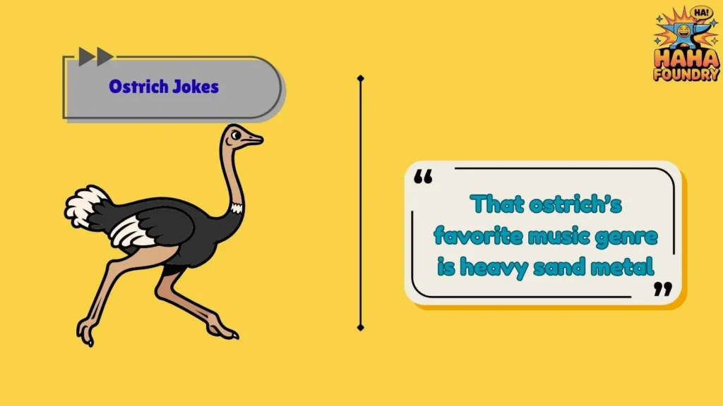 Clever Ostrich Wordplay That Hits Fast