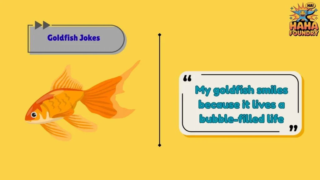 Cute Goldfish Jokes That Are Impossible Not to Love