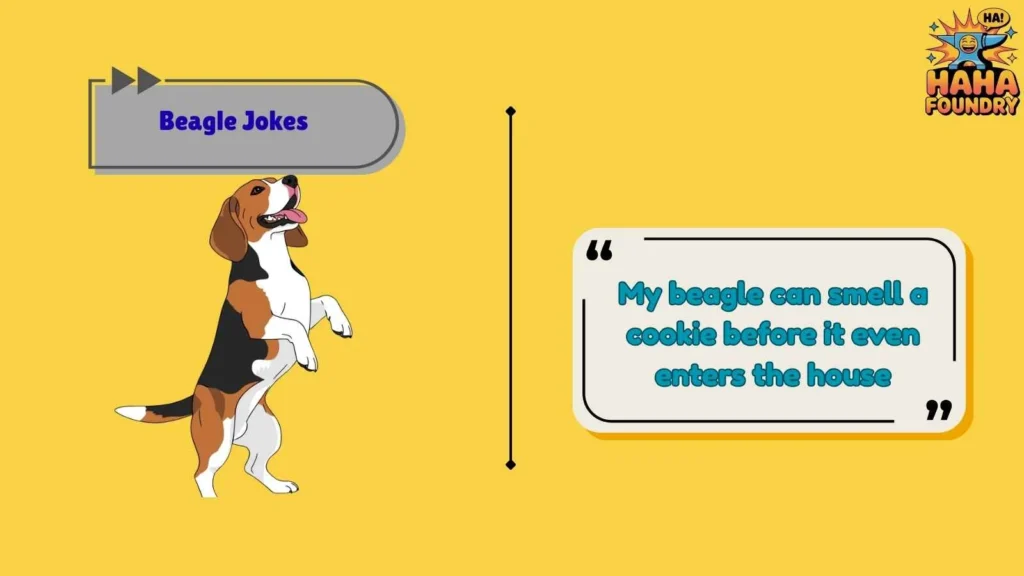 Funny Beagle Jokes About Their Incredible Nose