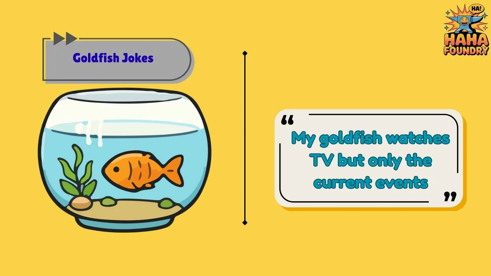 Goldfish Jokes