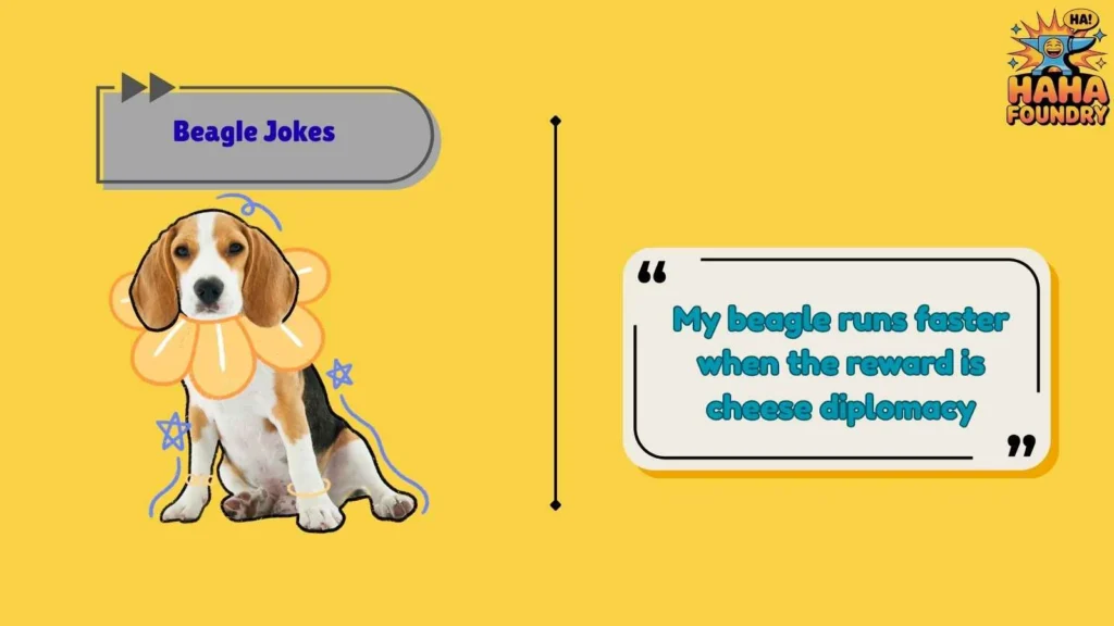 Hilarious Beagle Jokes About Food Obsession