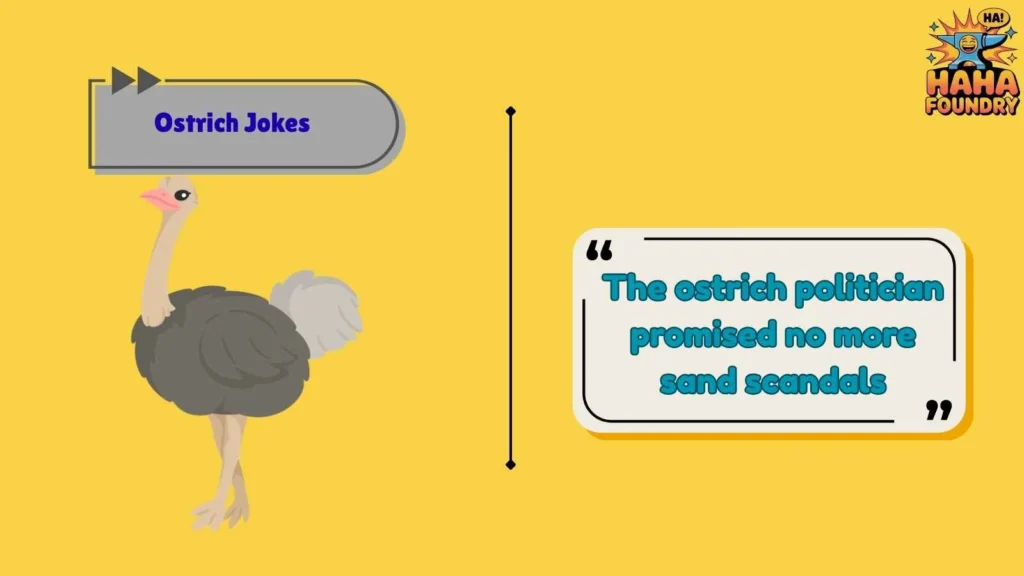 Hilarious Ostrich Puns That Never Get Old