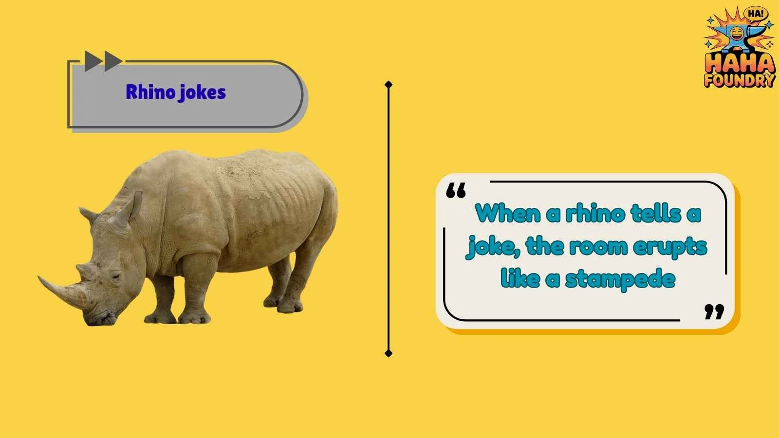 Rhino jokes