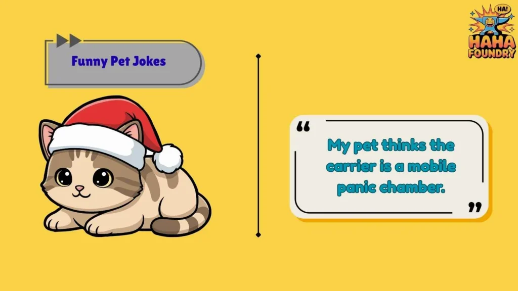 Vet Visit Jokes Every Pet Parent Understands