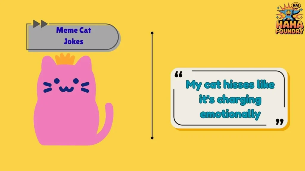 Angry Cat Meme Jokes With Attitude