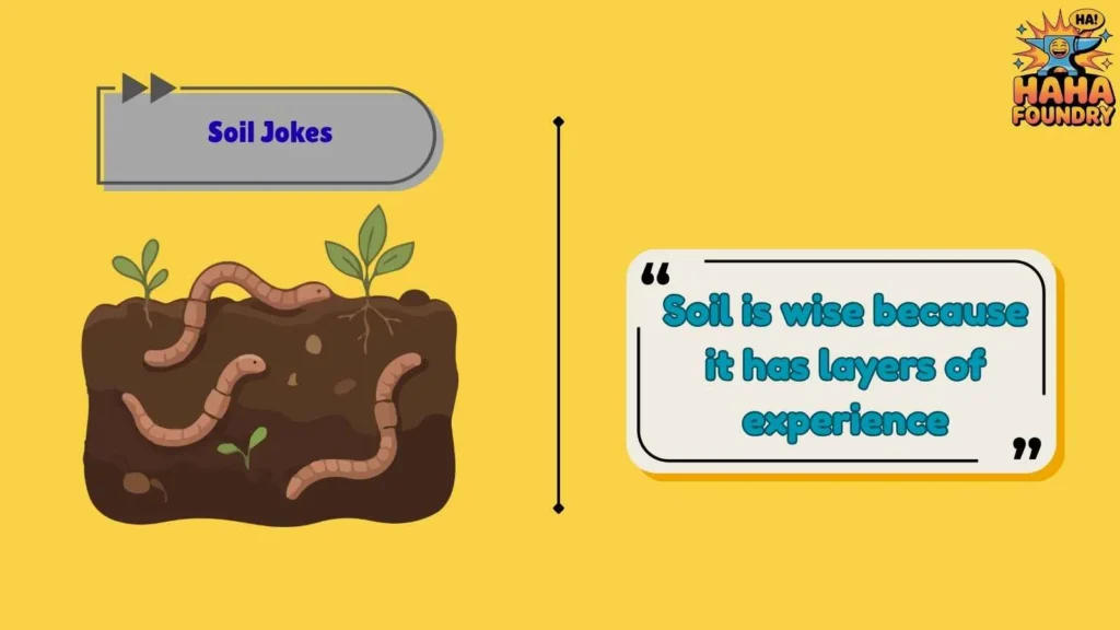Clever Soil Puns That Feel Smart