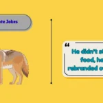 Coyote Jokes