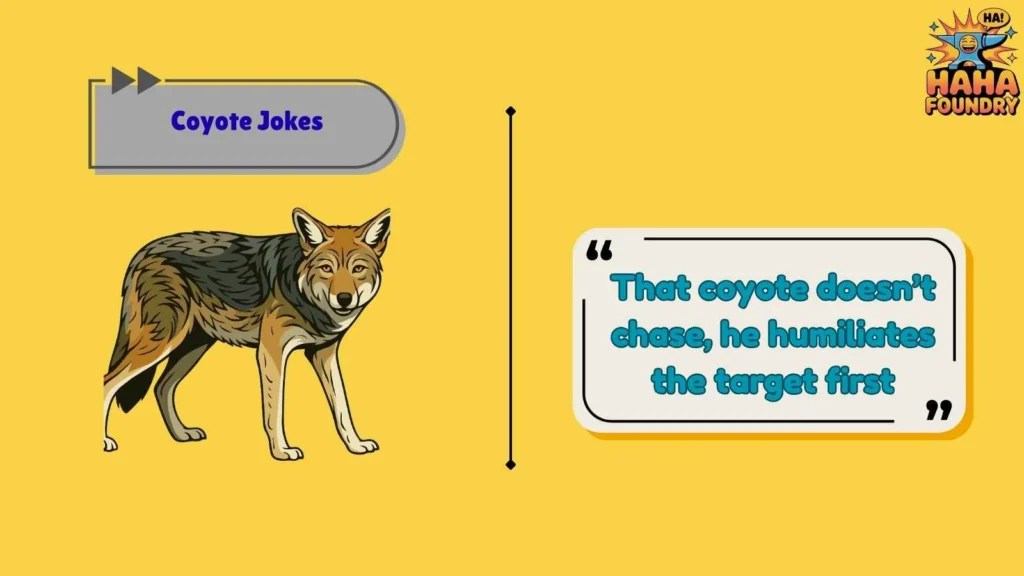 Fearless Coyote Jokes With Bite