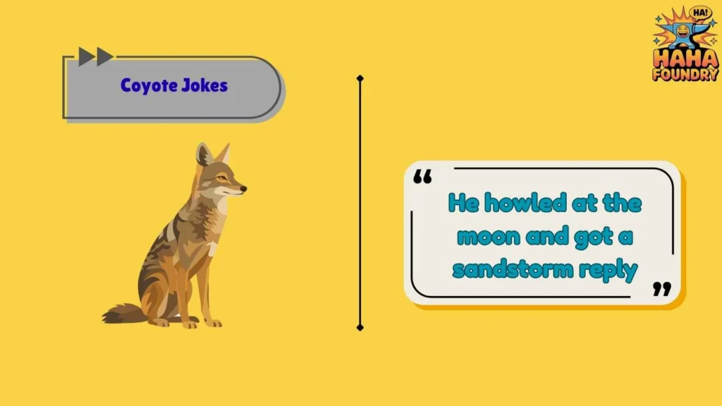 Funny Desert Coyote Jokes That Hit Different