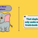 Jokes About Elephants