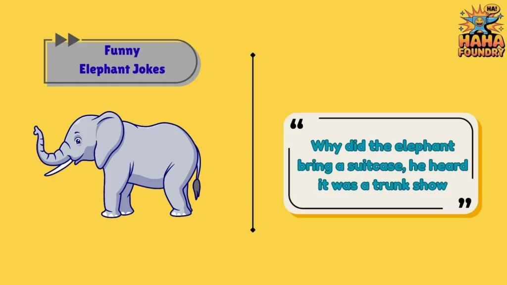 Short Elephant Jokes That Land Fast