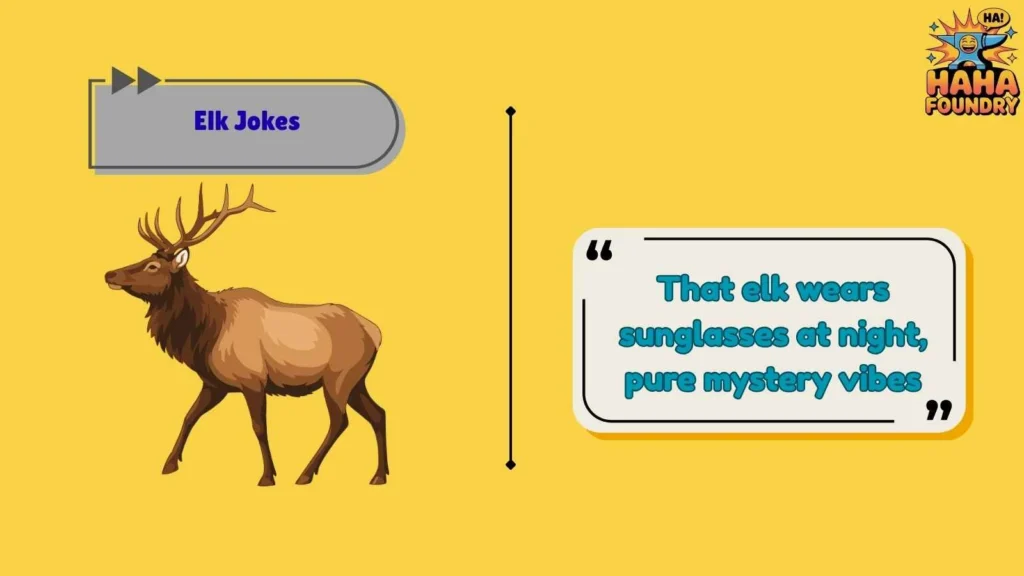 Silly Elk Jokes That Make No Sense