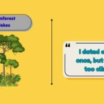 Rainforest Jokes