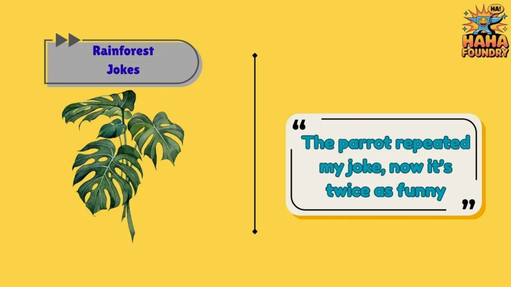 Animal Antics in the Rainforest