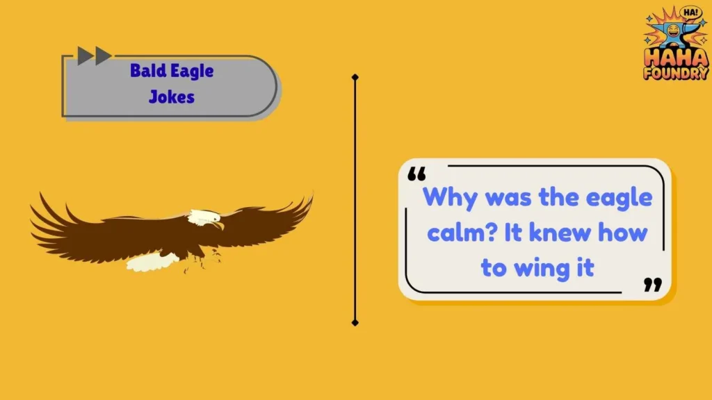 Bald Eagle Dad Jokes Worth Sharing