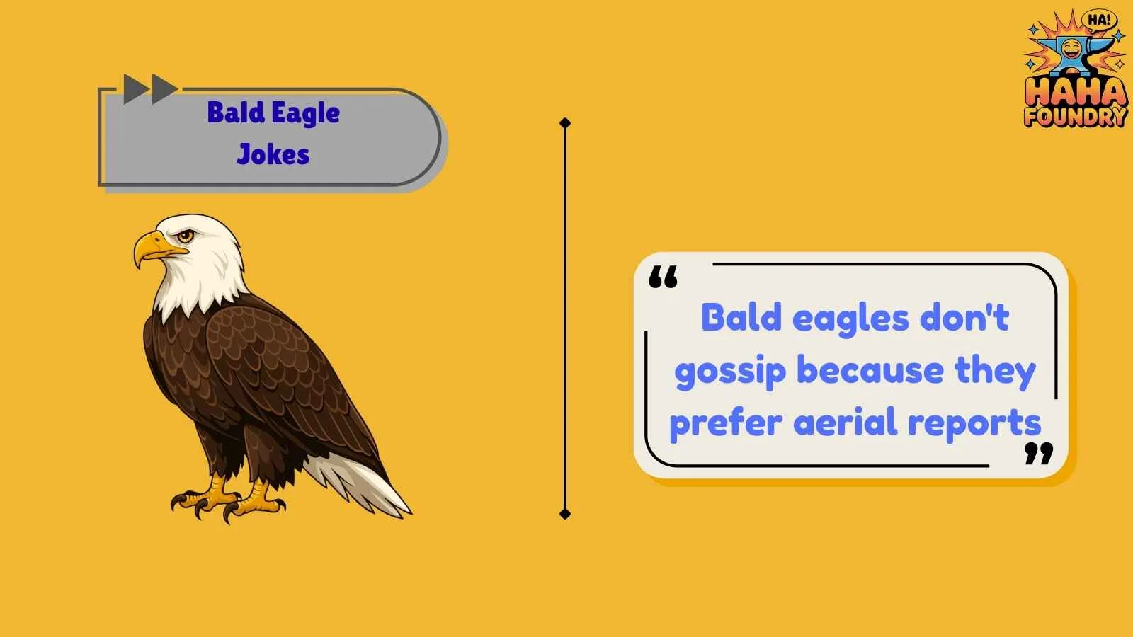 Bald Eagle Jokes