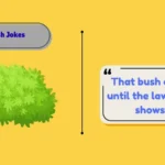 Bush Jokes