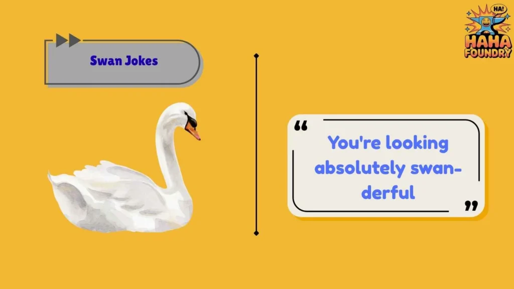 Clever Swan Puns That Always Land