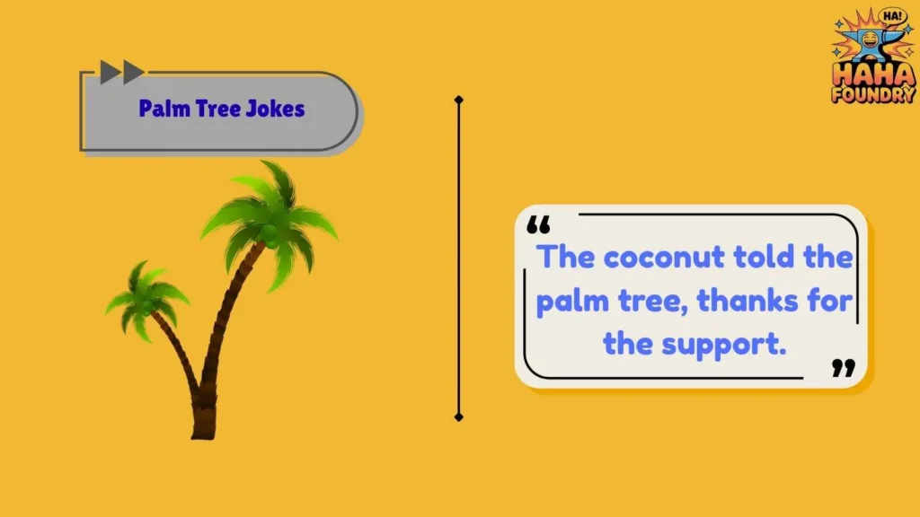 Coconut and Palm Tree Jokes Everyone Loves
