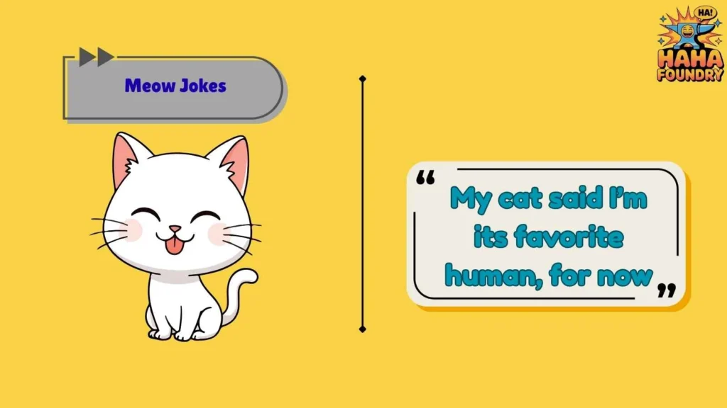 Cute Meow Jokes That Melt Hearts