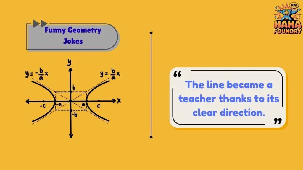 Funny Geometry Jokes About Lines