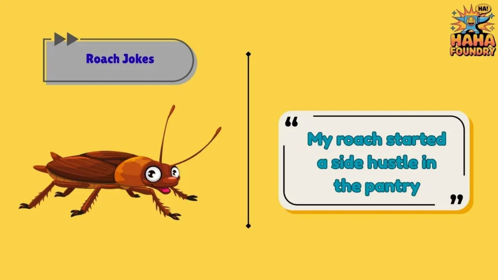 Funny Roach Puns for Everyday Laughs