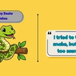 Funny Snake Jokes