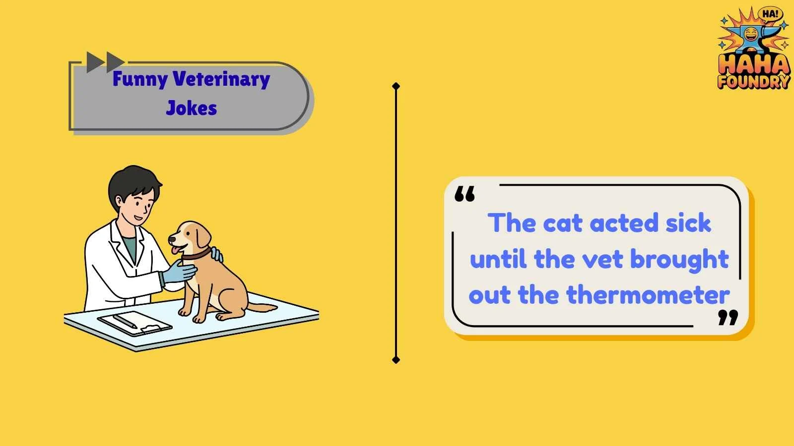 Funny Veterinary Jokes