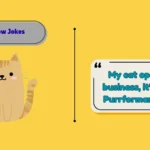 Meow Jokes
