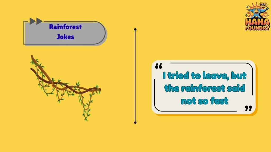Rainforest Puns That Feel Fresh