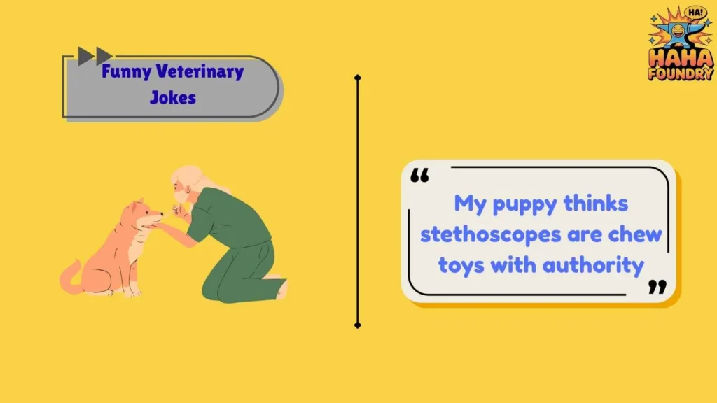 Silly Dog and Cat Vet Jokes