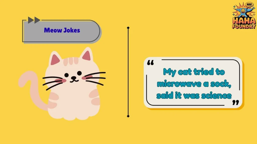 Silly Meow Jokes That Make No Sense