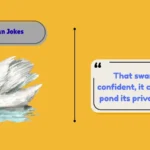 Swan Jokes