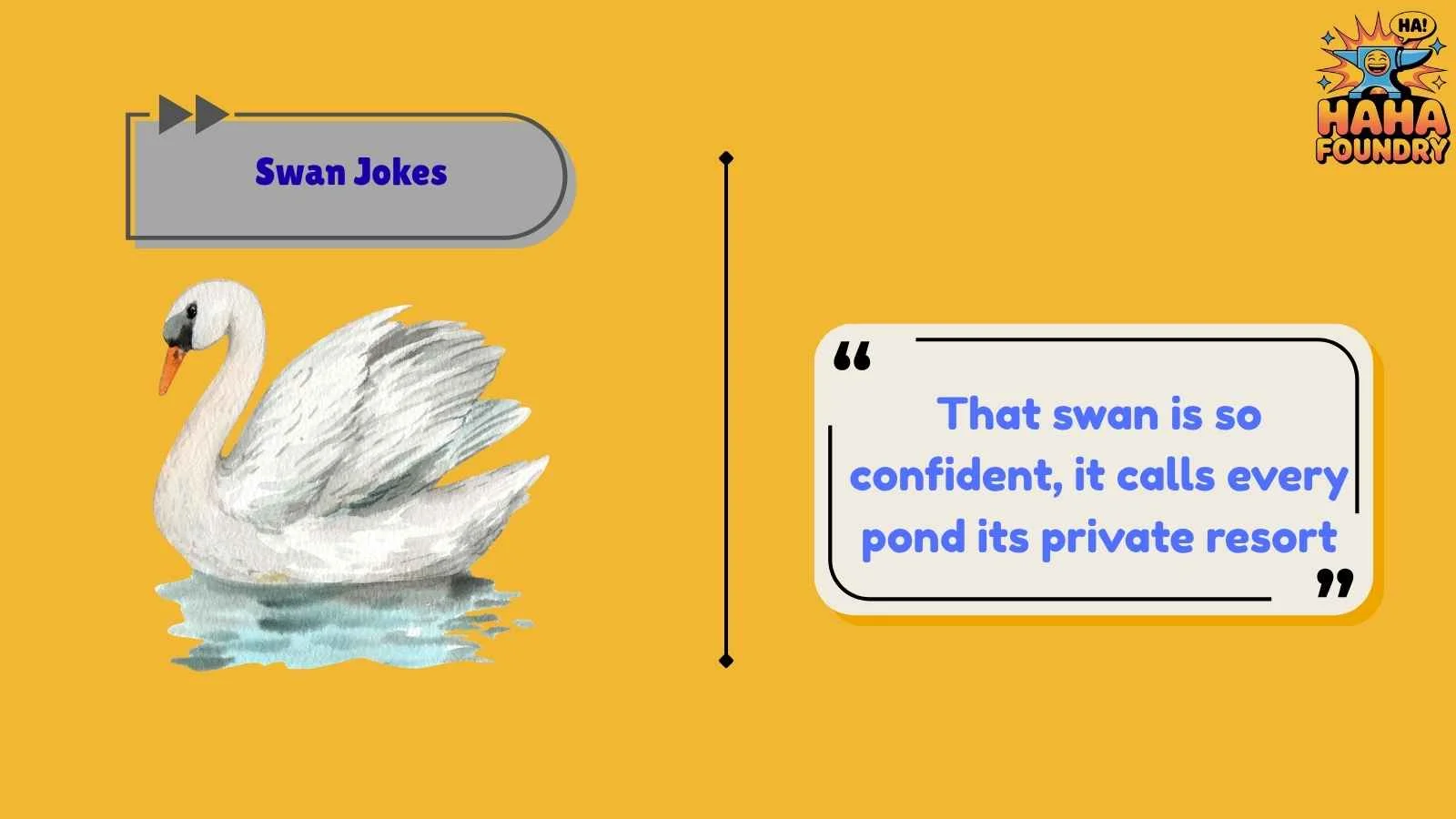 Swan Jokes