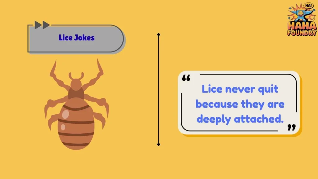Funny Lice Puns That Never Lose Their Grip