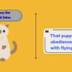 Funny Vet Med Jokes