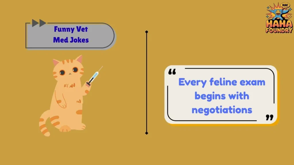Funny Vet Med Jokes About Cats
