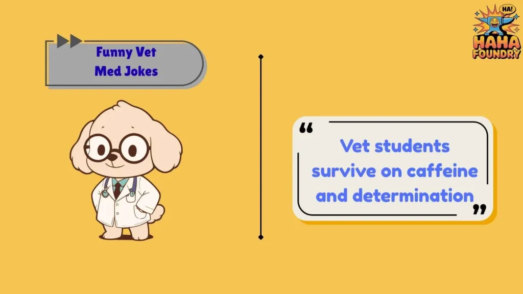 Funny Vet Med Jokes About Veterinary Students
