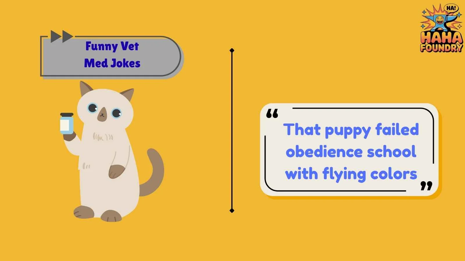 Funny Vet Med Jokes