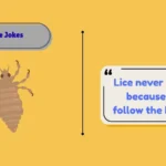 Lice Jokes